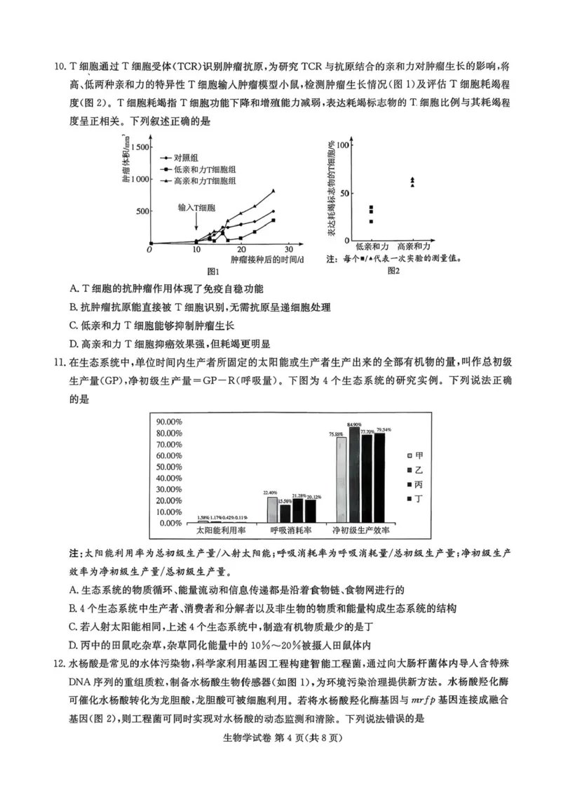 湖南省湘东教学联盟2026届高三上学期11月联考生物试题（含答案）_251106湖南省湘东教学联盟2026届高三上学期11月联考