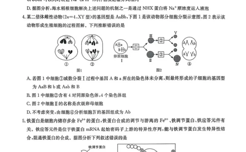 湖南省湘东教学联盟2026届高三上学期11月联考生物试题（含答案）_251106湖南省湘东教学联盟2026届高三上学期11月联考