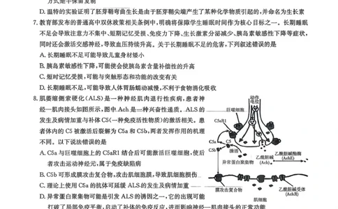湖南省湘东教学联盟2026届高三上学期11月联考生物试题（含答案）_251106湖南省湘东教学联盟2026届高三上学期11月联考