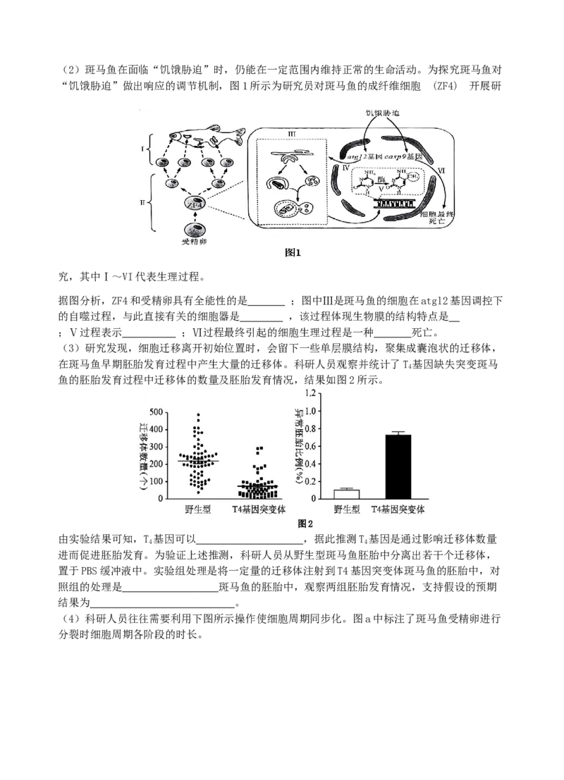 江苏省无锡市澄宜六校2025-2026学年高三上学期10月生物试题_251109江苏省无锡市澄宜六校2025-2026学年高三上学期10月学情调研（全科）