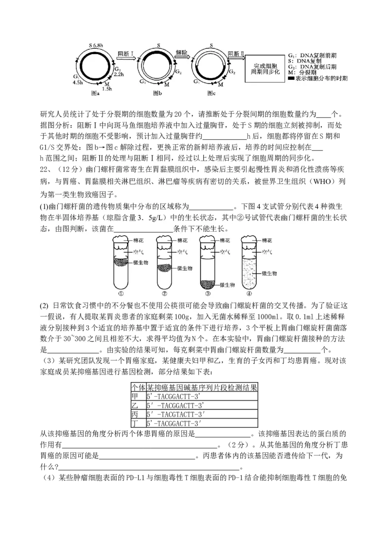 江苏省无锡市澄宜六校2025-2026学年高三上学期10月生物试题_251109江苏省无锡市澄宜六校2025-2026学年高三上学期10月学情调研（全科）