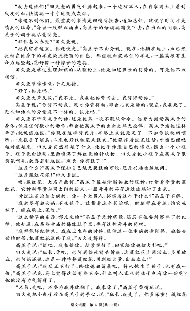 安徽省合肥一六八中学2025届高三最后一卷语文_2025年6月_250601安徽省合肥一六八中学2025届高三最后一卷（全科）