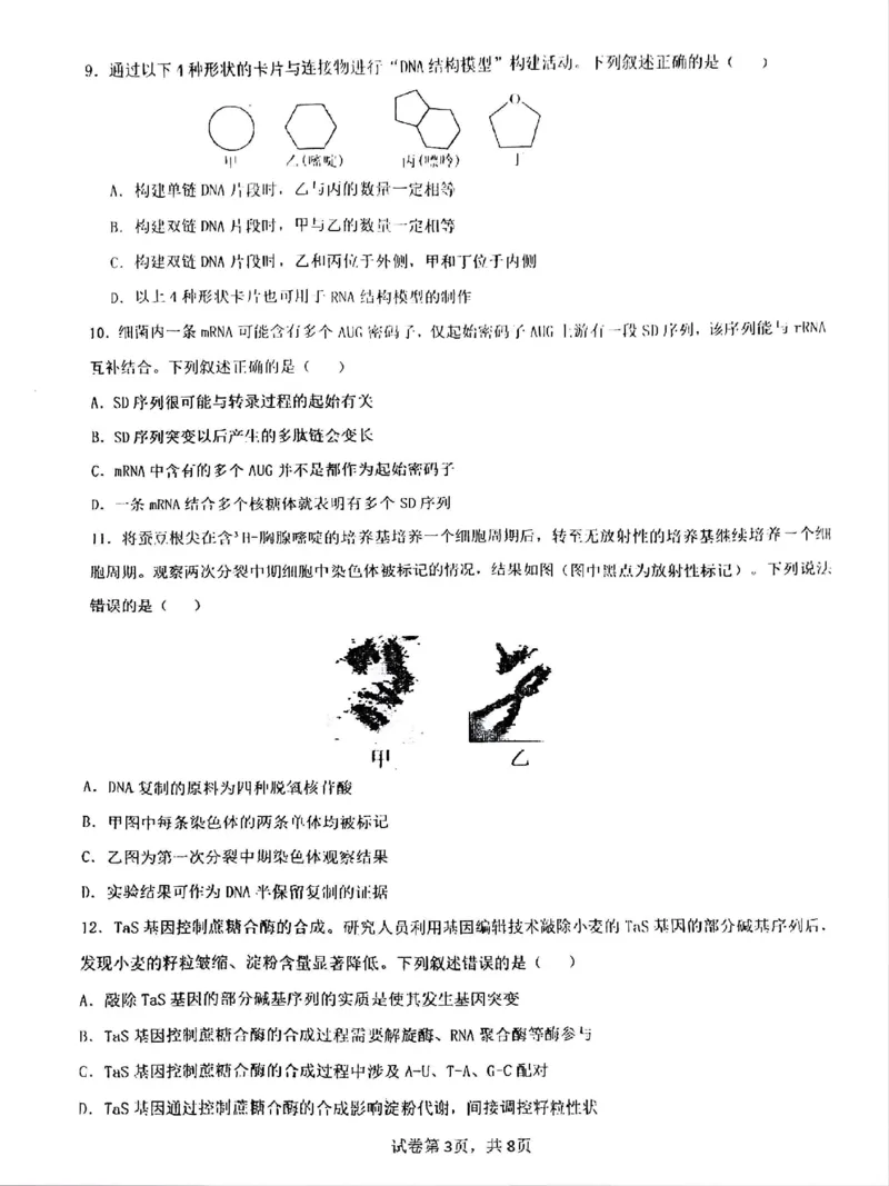 四川省成都市第七中学2024-2025学年高一下学期6月月考生物_2025年6月_250616四川省成都市第七中学2024-2025学年高一下学期6月月考（全科）(1)