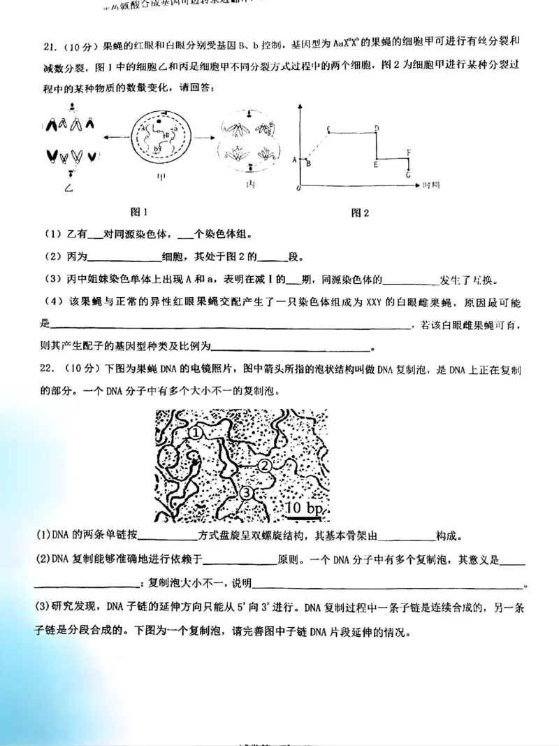 四川省成都市第七中学2024-2025学年高一下学期6月月考生物_2025年6月_250616四川省成都市第七中学2024-2025学年高一下学期6月月考（全科）(1)