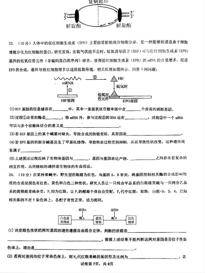四川省成都市第七中学2024-2025学年高一下学期6月月考生物_2025年6月_250616四川省成都市第七中学2024-2025学年高一下学期6月月考（全科）(1)