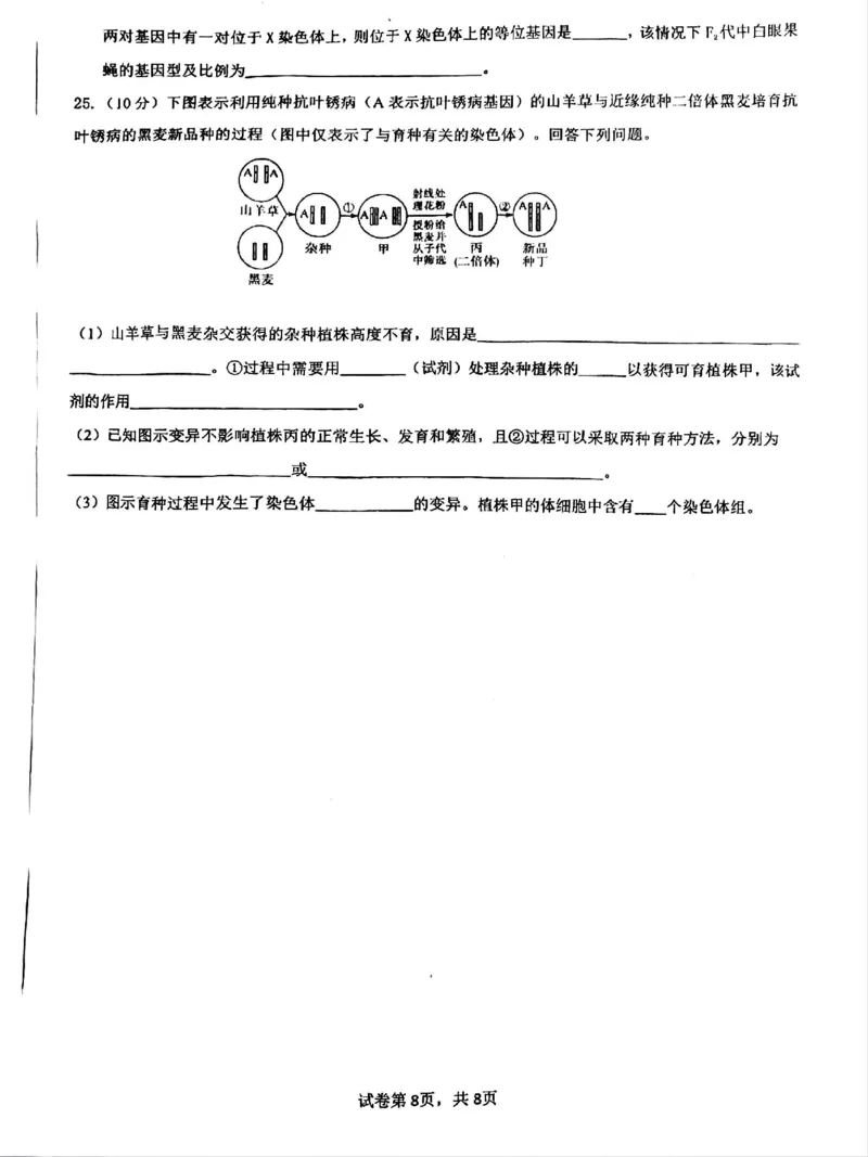 四川省成都市第七中学2024-2025学年高一下学期6月月考生物_2025年6月_250616四川省成都市第七中学2024-2025学年高一下学期6月月考（全科）(1)