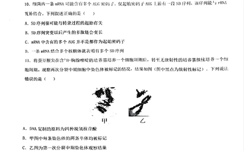 四川省成都市第七中学2024-2025学年高一下学期6月月考生物_2025年6月_250616四川省成都市第七中学2024-2025学年高一下学期6月月考（全科）(1)
