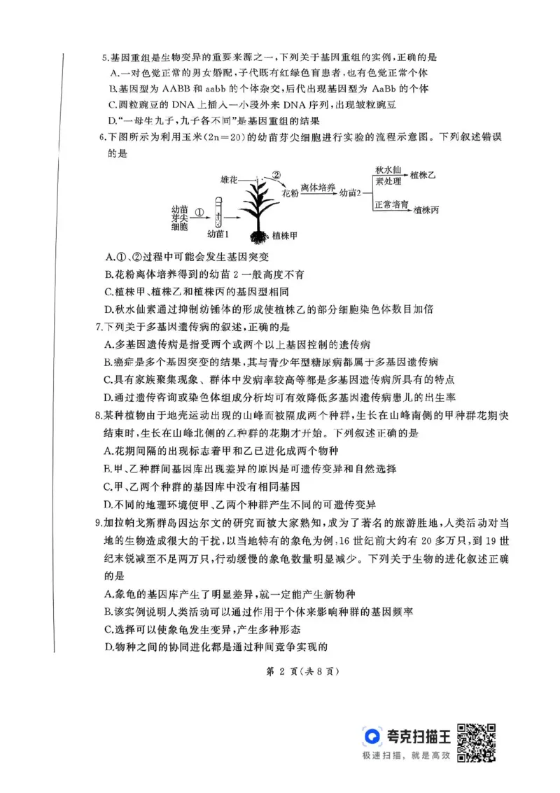 2026届河北地区2025-2026学年高三上学期11月期中考试生物试题（含答案）_251120河北省秦皇岛市承德联考2025-2026学年高三上学期11月期中（全科）