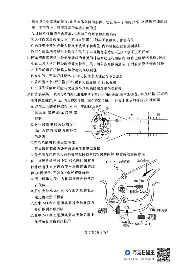 2026届河北地区2025-2026学年高三上学期11月期中考试生物试题（含答案）_251120河北省秦皇岛市承德联考2025-2026学年高三上学期11月期中（全科）