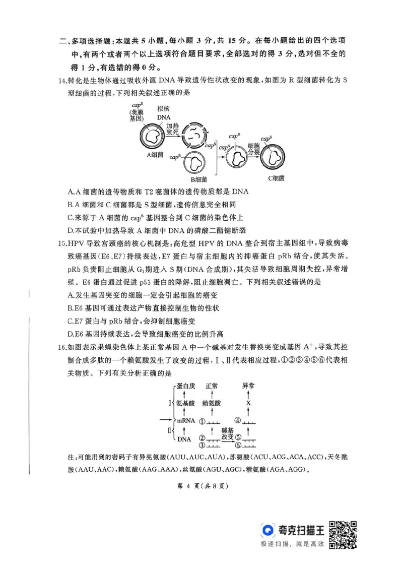 2026届河北地区2025-2026学年高三上学期11月期中考试生物试题（含答案）_251120河北省秦皇岛市承德联考2025-2026学年高三上学期11月期中（全科）