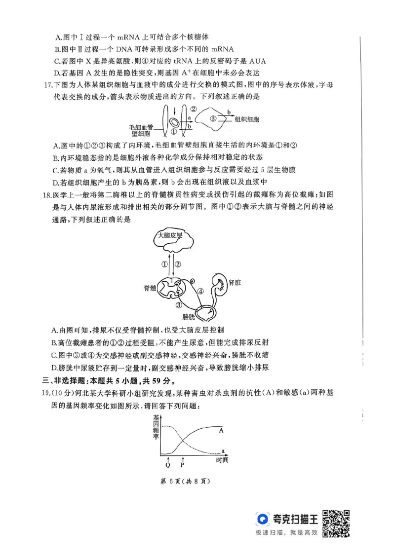 2026届河北地区2025-2026学年高三上学期11月期中考试生物试题（含答案）_251120河北省秦皇岛市承德联考2025-2026学年高三上学期11月期中（全科）