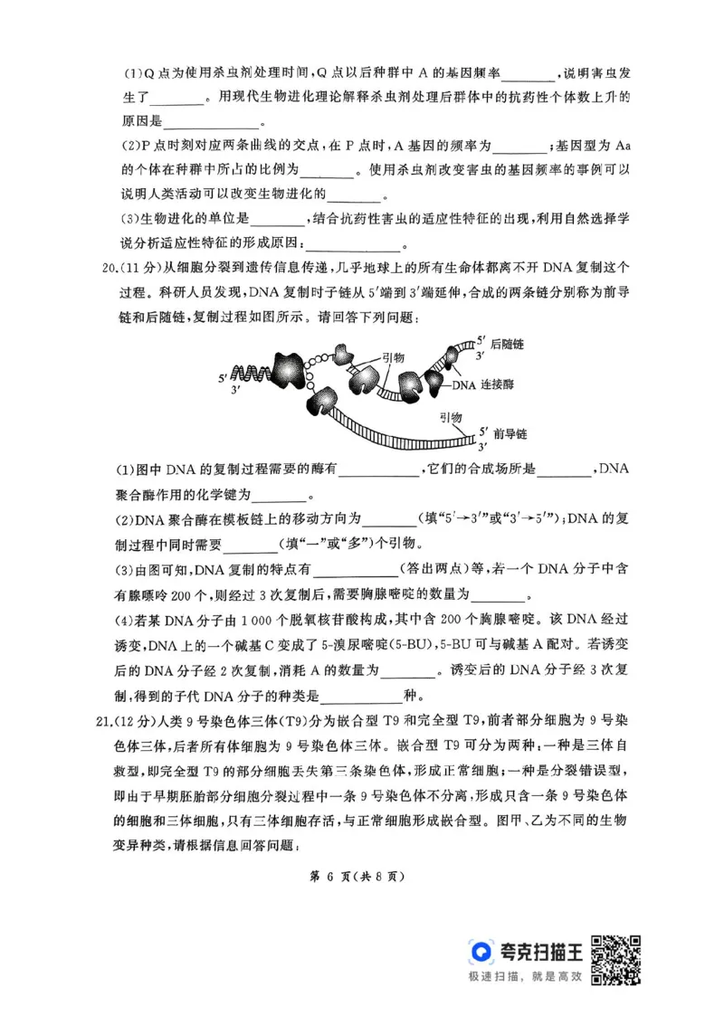 2026届河北地区2025-2026学年高三上学期11月期中考试生物试题（含答案）_251120河北省秦皇岛市承德联考2025-2026学年高三上学期11月期中（全科）