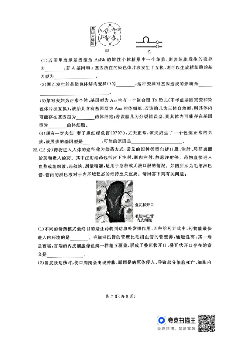 2026届河北地区2025-2026学年高三上学期11月期中考试生物试题（含答案）_251120河北省秦皇岛市承德联考2025-2026学年高三上学期11月期中（全科）