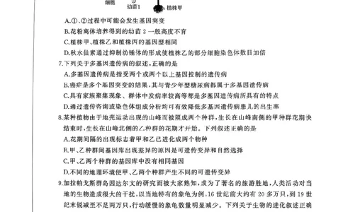 2026届河北地区2025-2026学年高三上学期11月期中考试生物试题（含答案）_251120河北省秦皇岛市承德联考2025-2026学年高三上学期11月期中（全科）