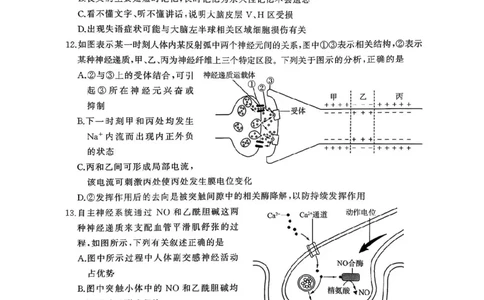 2026届河北地区2025-2026学年高三上学期11月期中考试生物试题（含答案）_251120河北省秦皇岛市承德联考2025-2026学年高三上学期11月期中（全科）