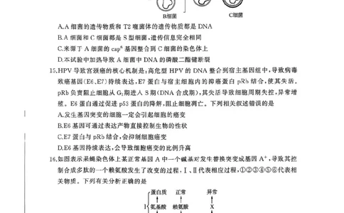 2026届河北地区2025-2026学年高三上学期11月期中考试生物试题（含答案）_251120河北省秦皇岛市承德联考2025-2026学年高三上学期11月期中（全科）