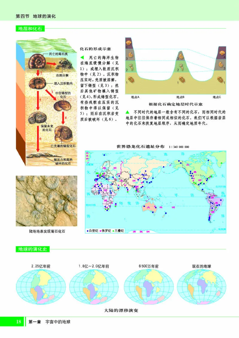 湘教版地理必修第一册地理图册_4-教培资料-26年最新资料-同步更新_初中高中教资_03科三专项（进去保存报考的学科即可）_02科三专项（笔记真题思维导图教学设计版本二）