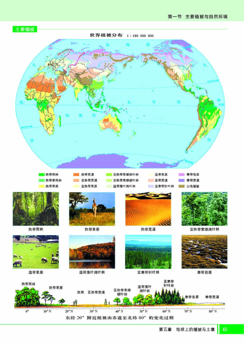 湘教版地理必修第一册地理图册_4-教培资料-26年最新资料-同步更新_初中高中教资_03科三专项（进去保存报考的学科即可）_02科三专项（笔记真题思维导图教学设计版本二）