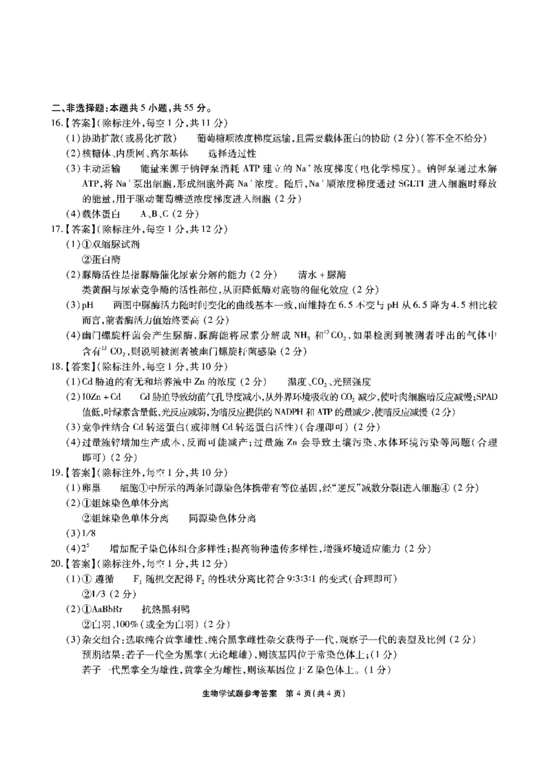 生物答案安徽省江淮十校2026届高三第二次考试（11月份期中质量检测）_251115安徽省江淮十校2026届高三第二次考试（11月份期中质量检测）（全科）