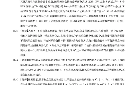 生物答案安徽省江淮十校2026届高三第二次考试（11月份期中质量检测）_251115安徽省江淮十校2026届高三第二次考试（11月份期中质量检测）（全科）
