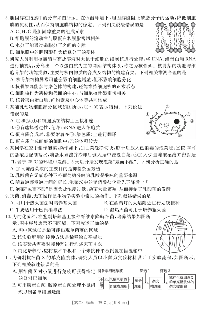 山西省2024-2025学年高二下学期期末考试生物_2025年7月_250715山西省金太阳2024-2025学年高二下学期期末考试（25-568B）（全科）