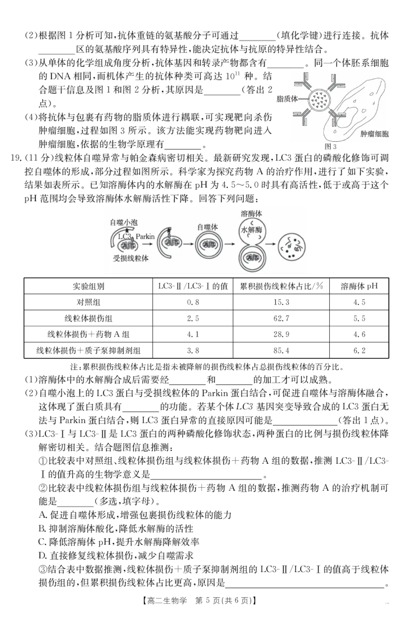 山西省2024-2025学年高二下学期期末考试生物_2025年7月_250715山西省金太阳2024-2025学年高二下学期期末考试（25-568B）（全科）