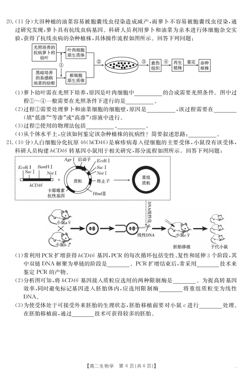 山西省2024-2025学年高二下学期期末考试生物_2025年7月_250715山西省金太阳2024-2025学年高二下学期期末考试（25-568B）（全科）