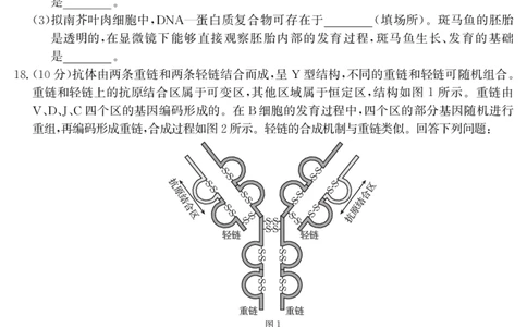 山西省2024-2025学年高二下学期期末考试生物_2025年7月_250715山西省金太阳2024-2025学年高二下学期期末考试（25-568B）（全科）