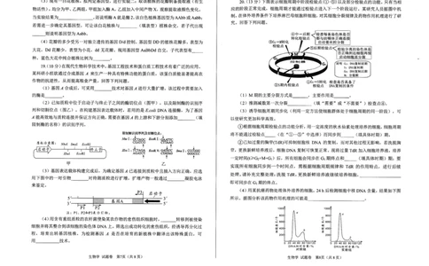 绵阳市高中2023级第一次诊断性考试生物_251104四川省绵阳市高中2023级第一次诊断性考试（绵阳一诊A卷）（全）
