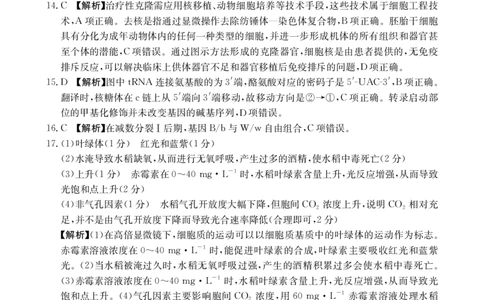 河南新乡2024-2025学年下学期高二生物试卷（期末考试）答案_2025年7月_250707河南省新乡2025年高二7月期末考试（金太阳25-57B）（全科）