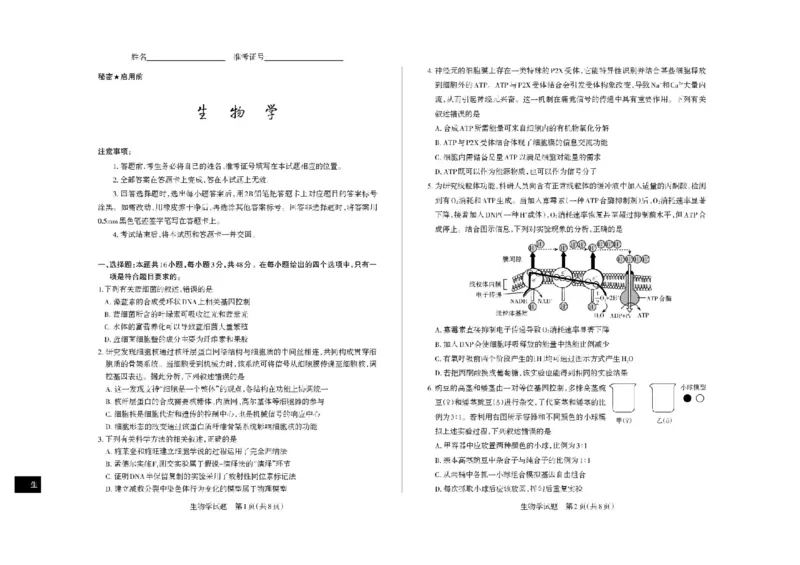 山西省思而行2025-2026学年高三上学期备考核心模拟中期考试生物试题（含答案）_251101山西省思而行2025-2026学年高三上学期备考核心模拟中期考试