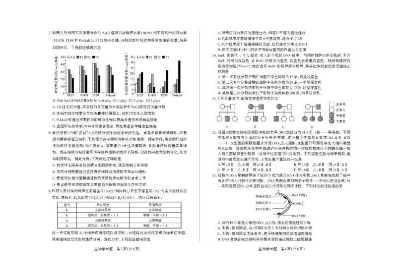 山西省思而行2025-2026学年高三上学期备考核心模拟中期考试生物试题（含答案）_251101山西省思而行2025-2026学年高三上学期备考核心模拟中期考试
