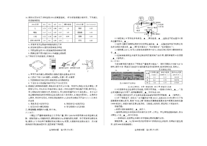 山西省思而行2025-2026学年高三上学期备考核心模拟中期考试生物试题（含答案）_251101山西省思而行2025-2026学年高三上学期备考核心模拟中期考试
