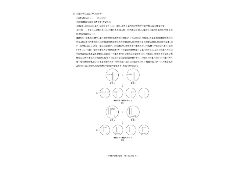 山西省思而行2025-2026学年高三上学期备考核心模拟中期考试生物试题（含答案）_251101山西省思而行2025-2026学年高三上学期备考核心模拟中期考试