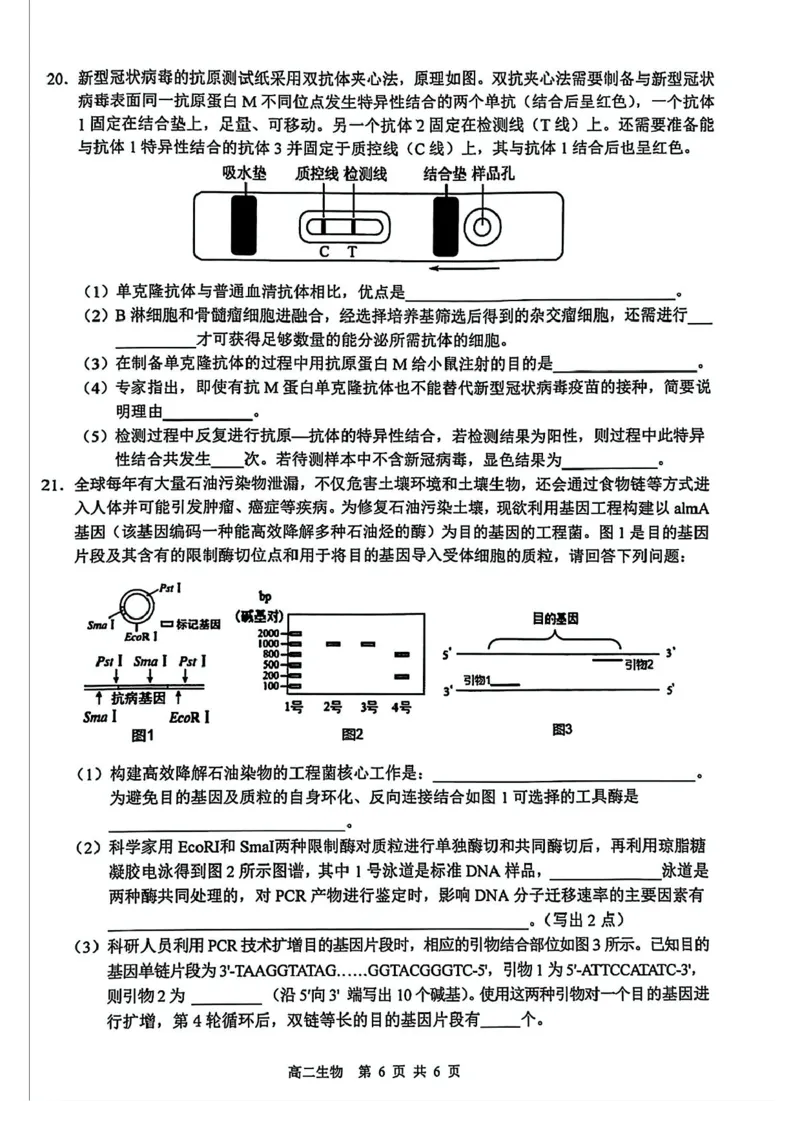 江西省上饶市2024-2025学年高二下学期期末教学质量检测生物试题（含答案）_2025年7月_250701江西省上饶市2024-2025学年下学期期末教学质量检测
