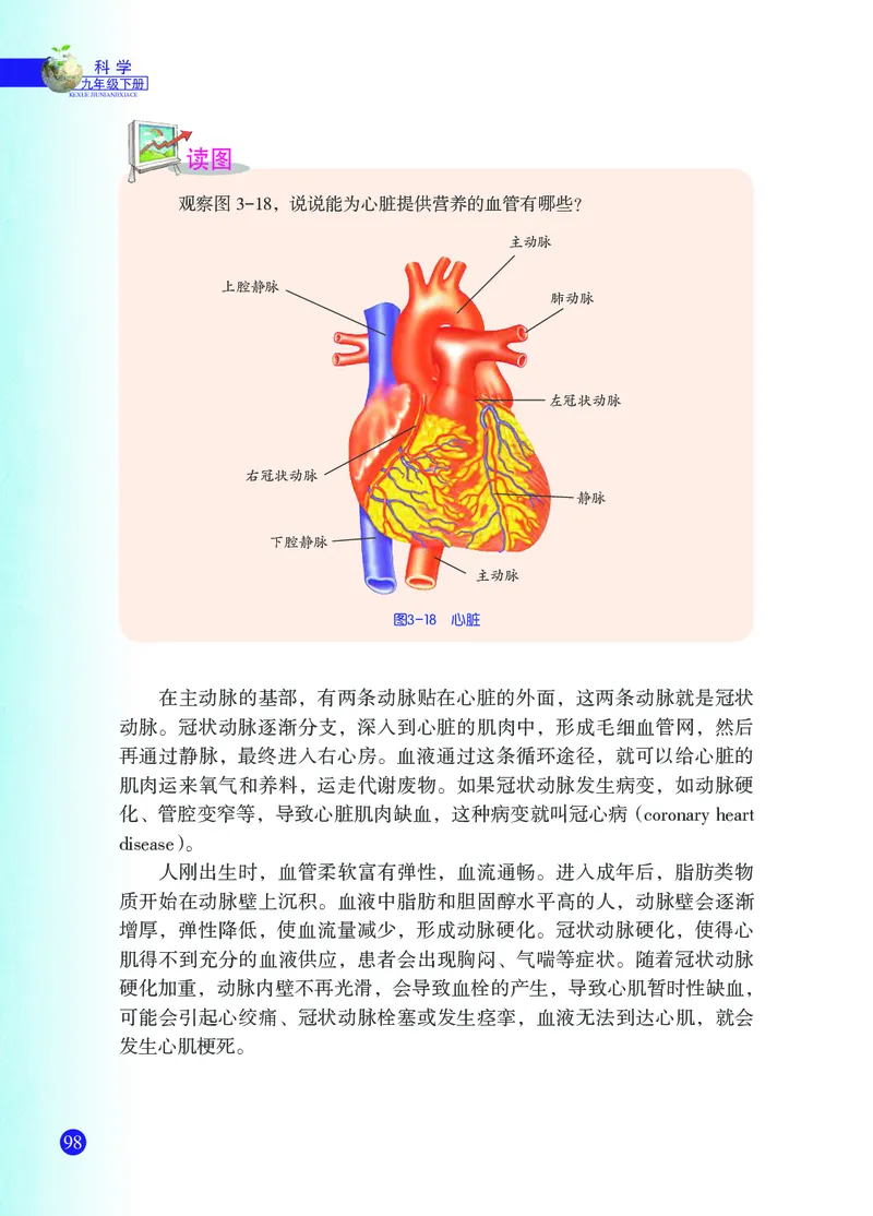 浙教版9年级科学下册高清教材_4-教培资料-26年最新资料-同步更新_初中高中教资_03科三专项（进去保存报考的学科即可）_02科三专项（笔记真题思维导图教学设计版本二）