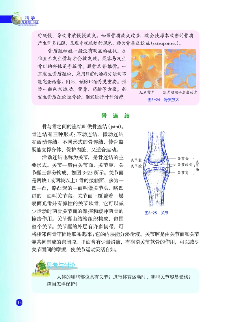 浙教版9年级科学下册高清教材_4-教培资料-26年最新资料-同步更新_初中高中教资_03科三专项（进去保存报考的学科即可）_02科三专项（笔记真题思维导图教学设计版本二）