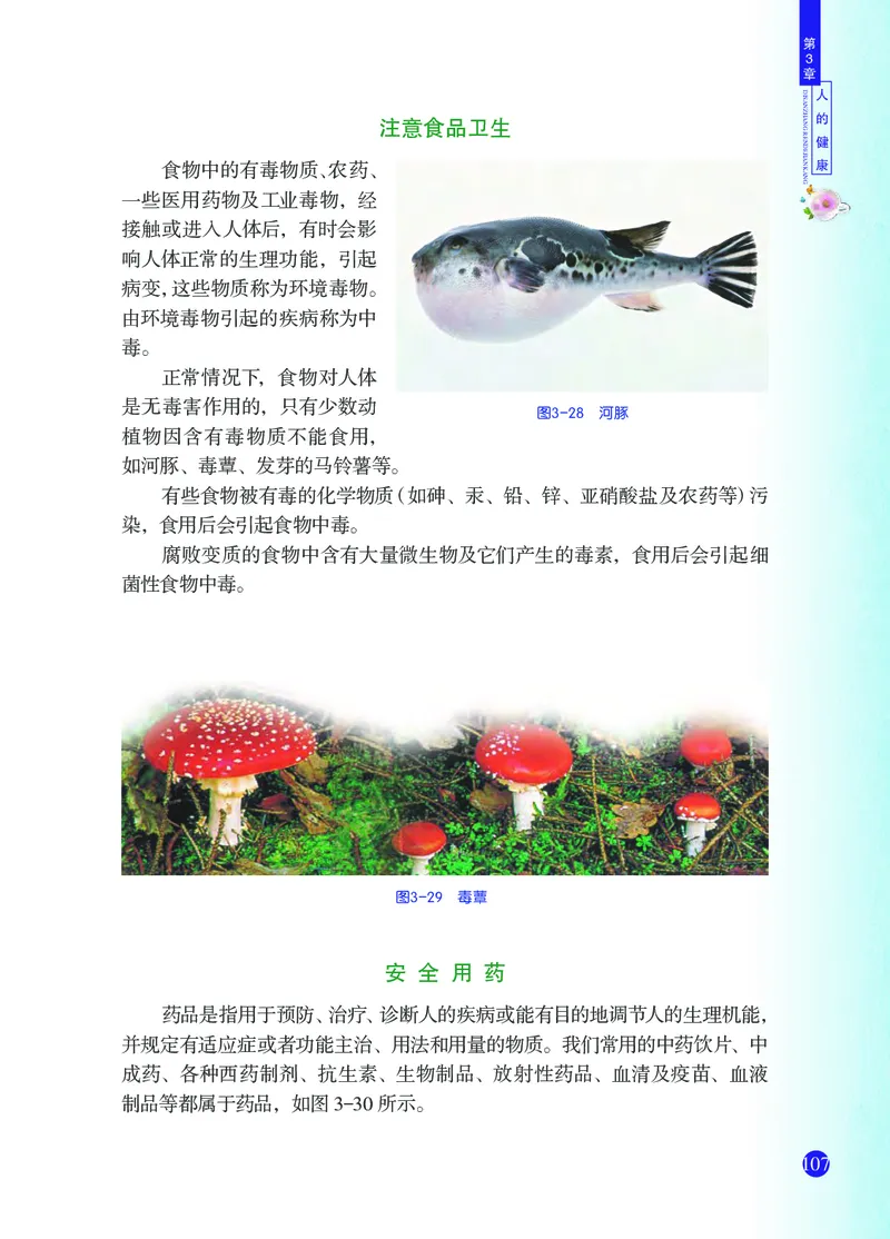 浙教版9年级科学下册高清教材_4-教培资料-26年最新资料-同步更新_初中高中教资_03科三专项（进去保存报考的学科即可）_02科三专项（笔记真题思维导图教学设计版本二）