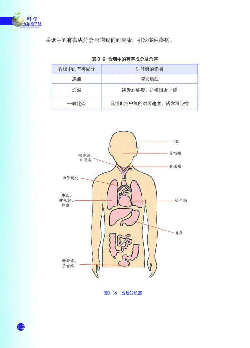 浙教版9年级科学下册高清教材_4-教培资料-26年最新资料-同步更新_初中高中教资_03科三专项（进去保存报考的学科即可）_02科三专项（笔记真题思维导图教学设计版本二）