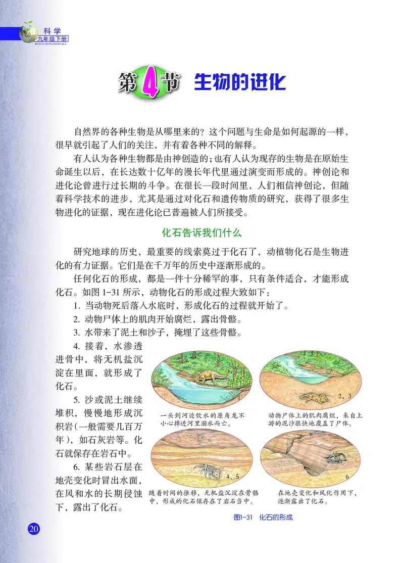 浙教版9年级科学下册高清教材_4-教培资料-26年最新资料-同步更新_初中高中教资_03科三专项（进去保存报考的学科即可）_02科三专项（笔记真题思维导图教学设计版本二）