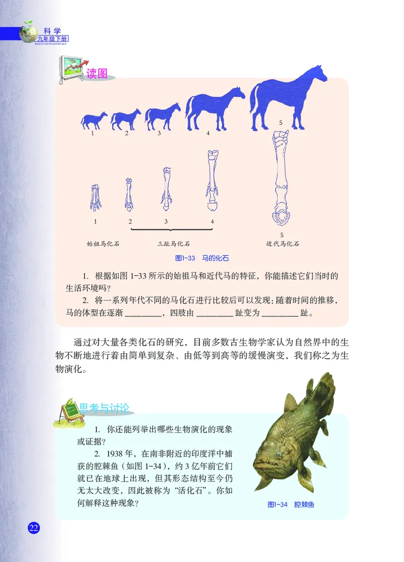 浙教版9年级科学下册高清教材_4-教培资料-26年最新资料-同步更新_初中高中教资_03科三专项（进去保存报考的学科即可）_02科三专项（笔记真题思维导图教学设计版本二）