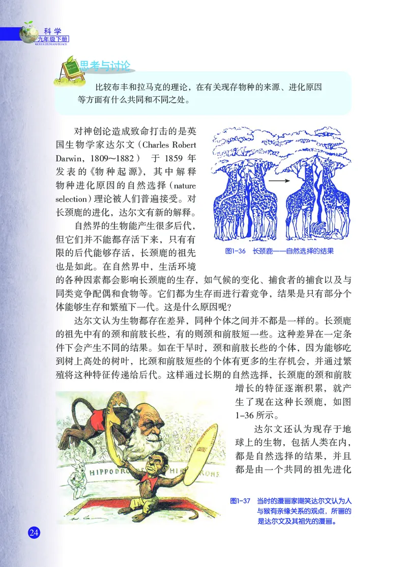 浙教版9年级科学下册高清教材_4-教培资料-26年最新资料-同步更新_初中高中教资_03科三专项（进去保存报考的学科即可）_02科三专项（笔记真题思维导图教学设计版本二）