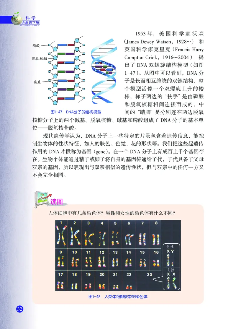 浙教版9年级科学下册高清教材_4-教培资料-26年最新资料-同步更新_初中高中教资_03科三专项（进去保存报考的学科即可）_02科三专项（笔记真题思维导图教学设计版本二）