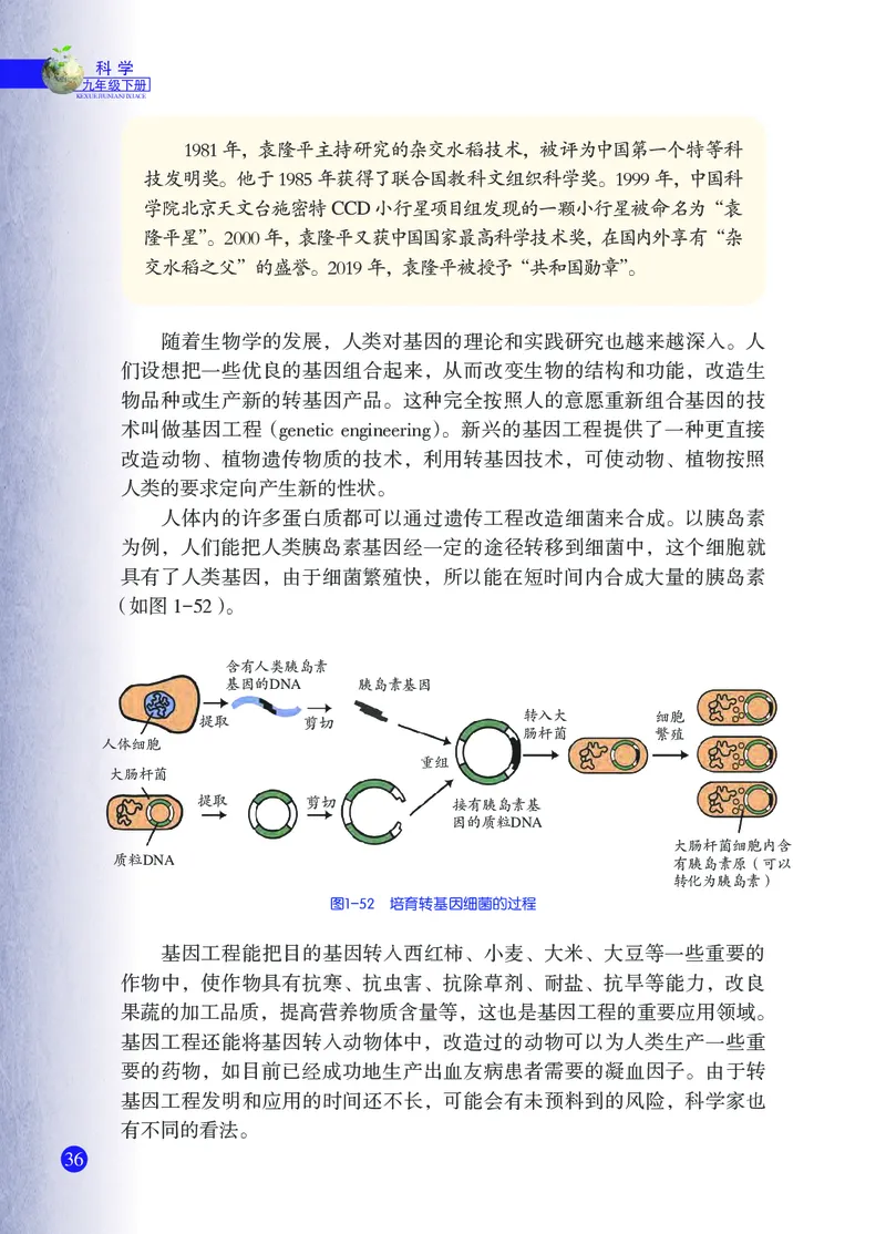 浙教版9年级科学下册高清教材_4-教培资料-26年最新资料-同步更新_初中高中教资_03科三专项（进去保存报考的学科即可）_02科三专项（笔记真题思维导图教学设计版本二）