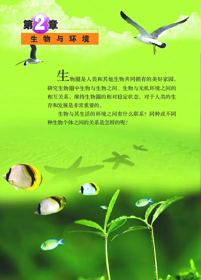 浙教版9年级科学下册高清教材_4-教培资料-26年最新资料-同步更新_初中高中教资_03科三专项（进去保存报考的学科即可）_02科三专项（笔记真题思维导图教学设计版本二）