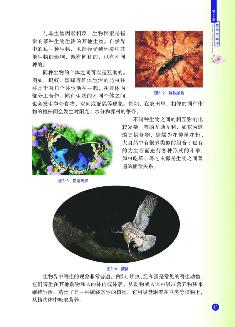 浙教版9年级科学下册高清教材_4-教培资料-26年最新资料-同步更新_初中高中教资_03科三专项（进去保存报考的学科即可）_02科三专项（笔记真题思维导图教学设计版本二）