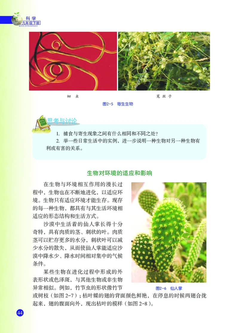 浙教版9年级科学下册高清教材_4-教培资料-26年最新资料-同步更新_初中高中教资_03科三专项（进去保存报考的学科即可）_02科三专项（笔记真题思维导图教学设计版本二）