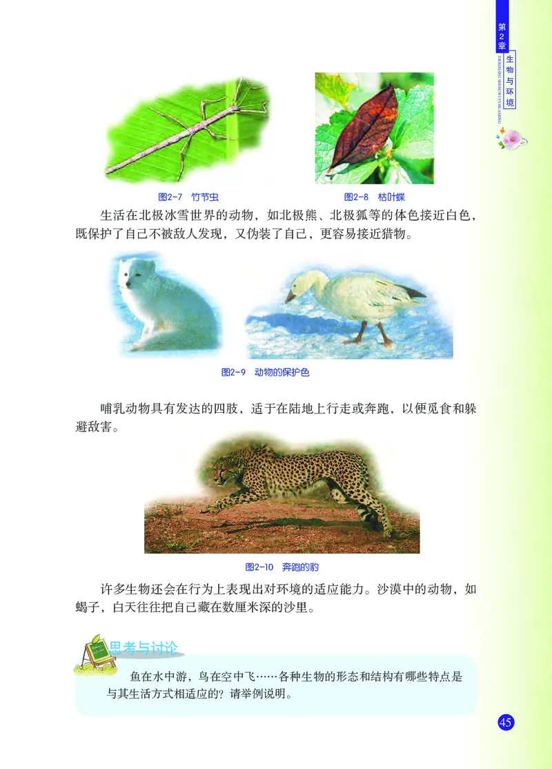 浙教版9年级科学下册高清教材_4-教培资料-26年最新资料-同步更新_初中高中教资_03科三专项（进去保存报考的学科即可）_02科三专项（笔记真题思维导图教学设计版本二）