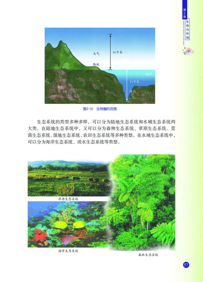 浙教版9年级科学下册高清教材_4-教培资料-26年最新资料-同步更新_初中高中教资_03科三专项（进去保存报考的学科即可）_02科三专项（笔记真题思维导图教学设计版本二）