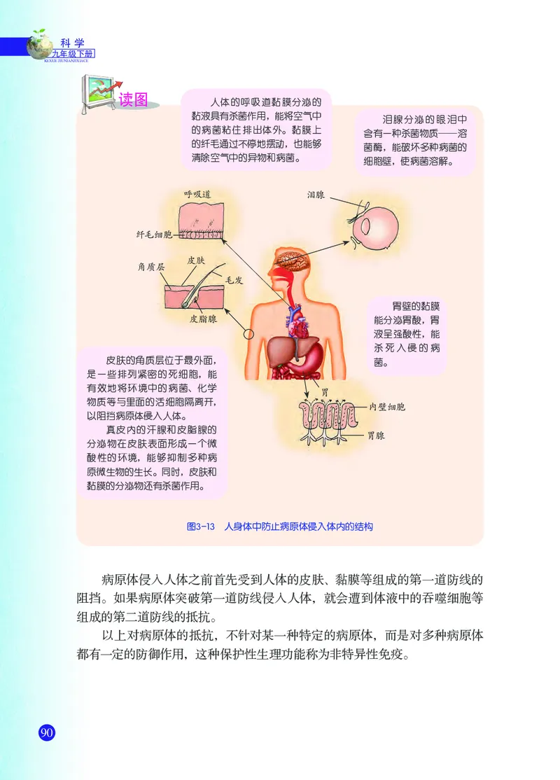 浙教版9年级科学下册高清教材_4-教培资料-26年最新资料-同步更新_初中高中教资_03科三专项（进去保存报考的学科即可）_02科三专项（笔记真题思维导图教学设计版本二）